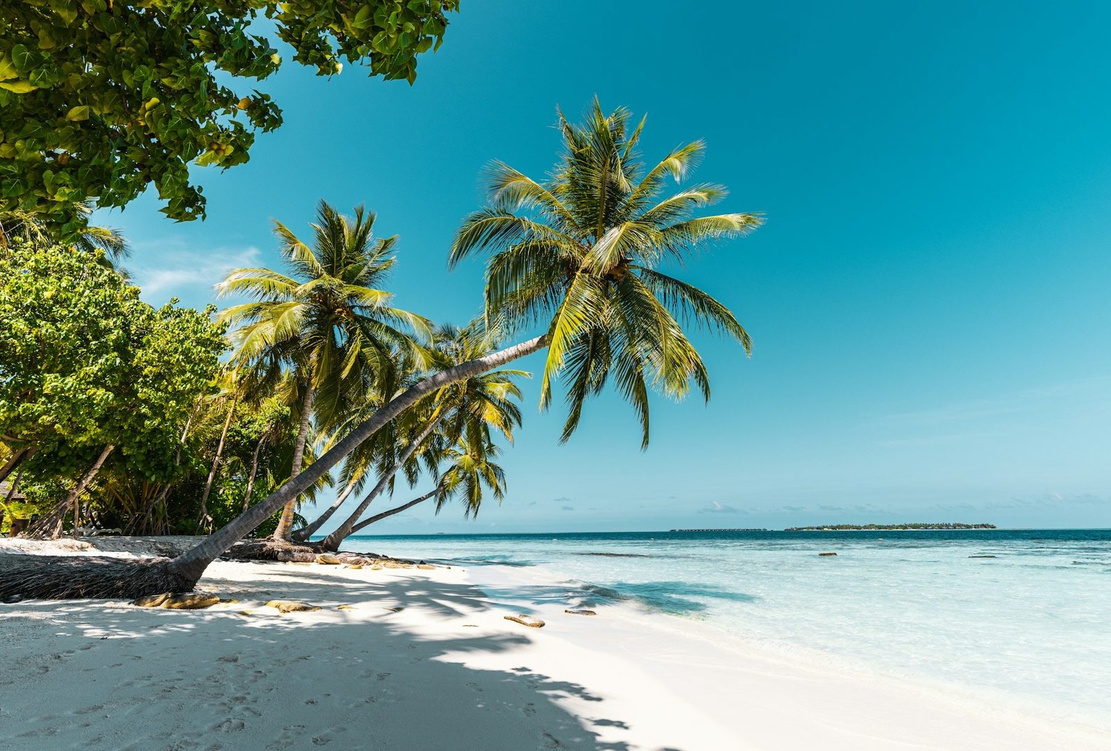 Koh Samui — white sand beach with palm trees